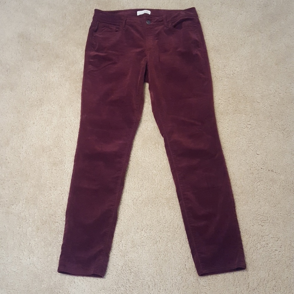 Loft pants